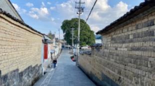 快刺水果