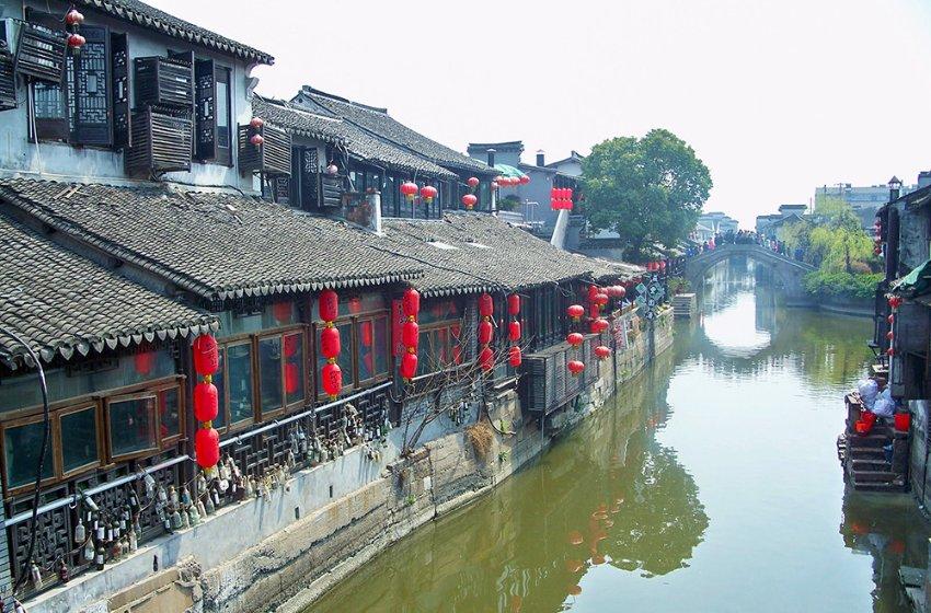 史上最胖柴犬，一脸鄙视看着人们说道：愚蠢的人类你们都没我胖